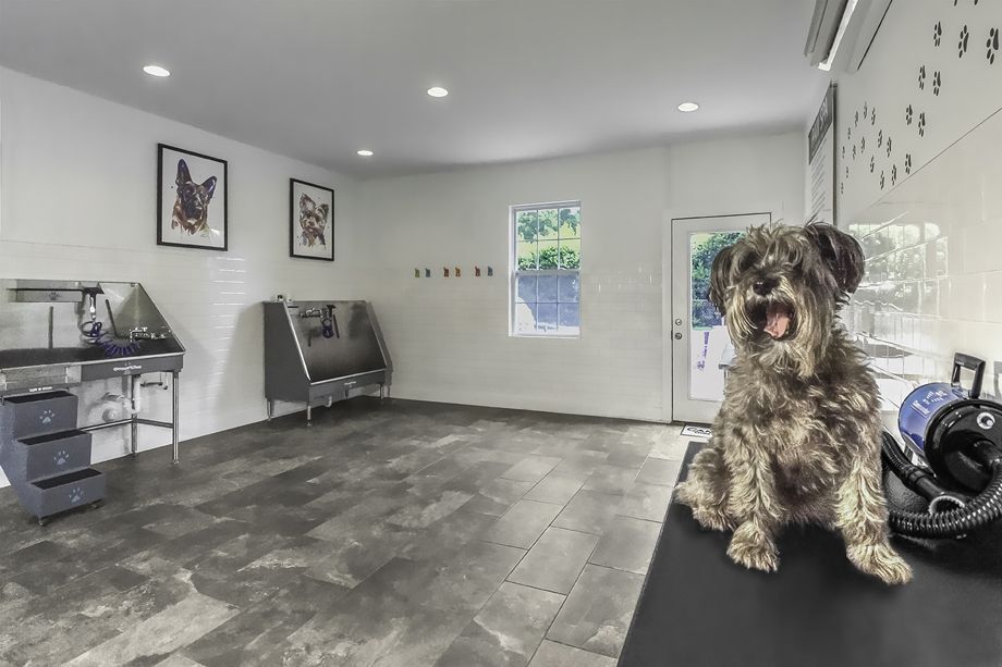 Camden Ballantyne Image 26