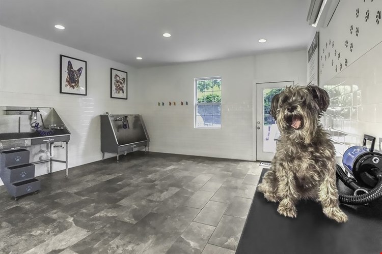 Camden Ballantyne Image 26