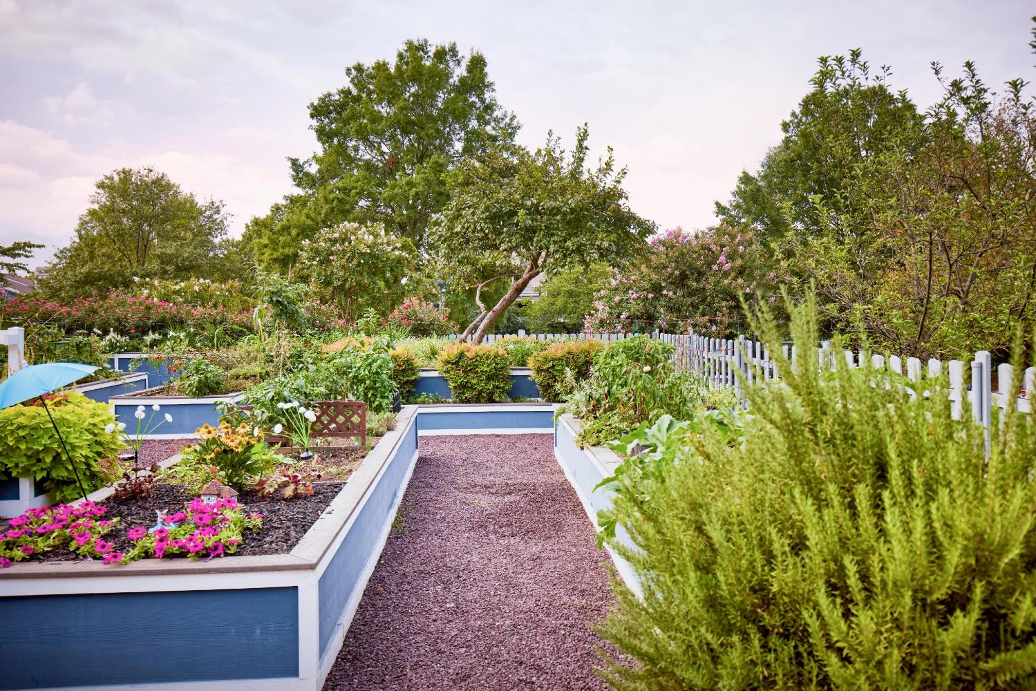 Lakeside Apartments Image 89