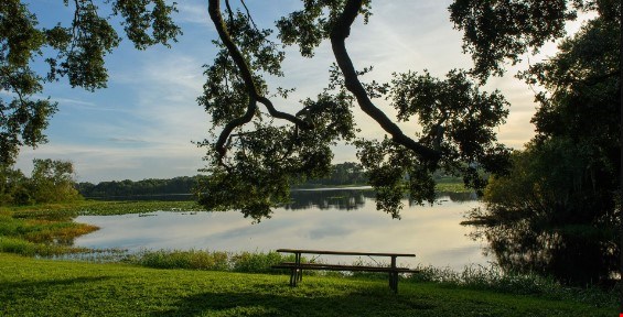 Edge at Lake Lotus Image 3