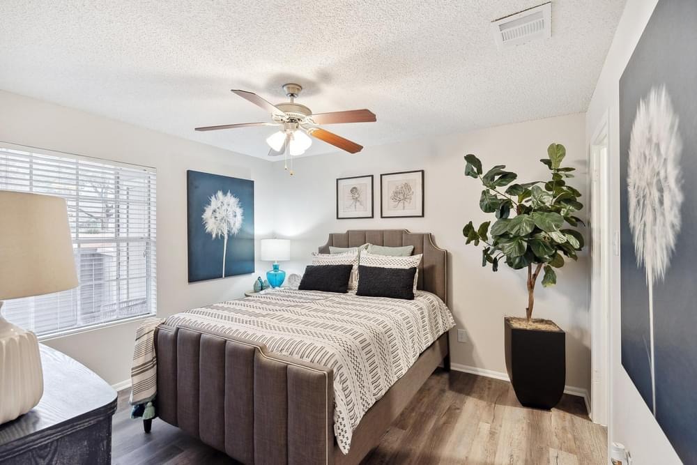 Altamonte Image 8