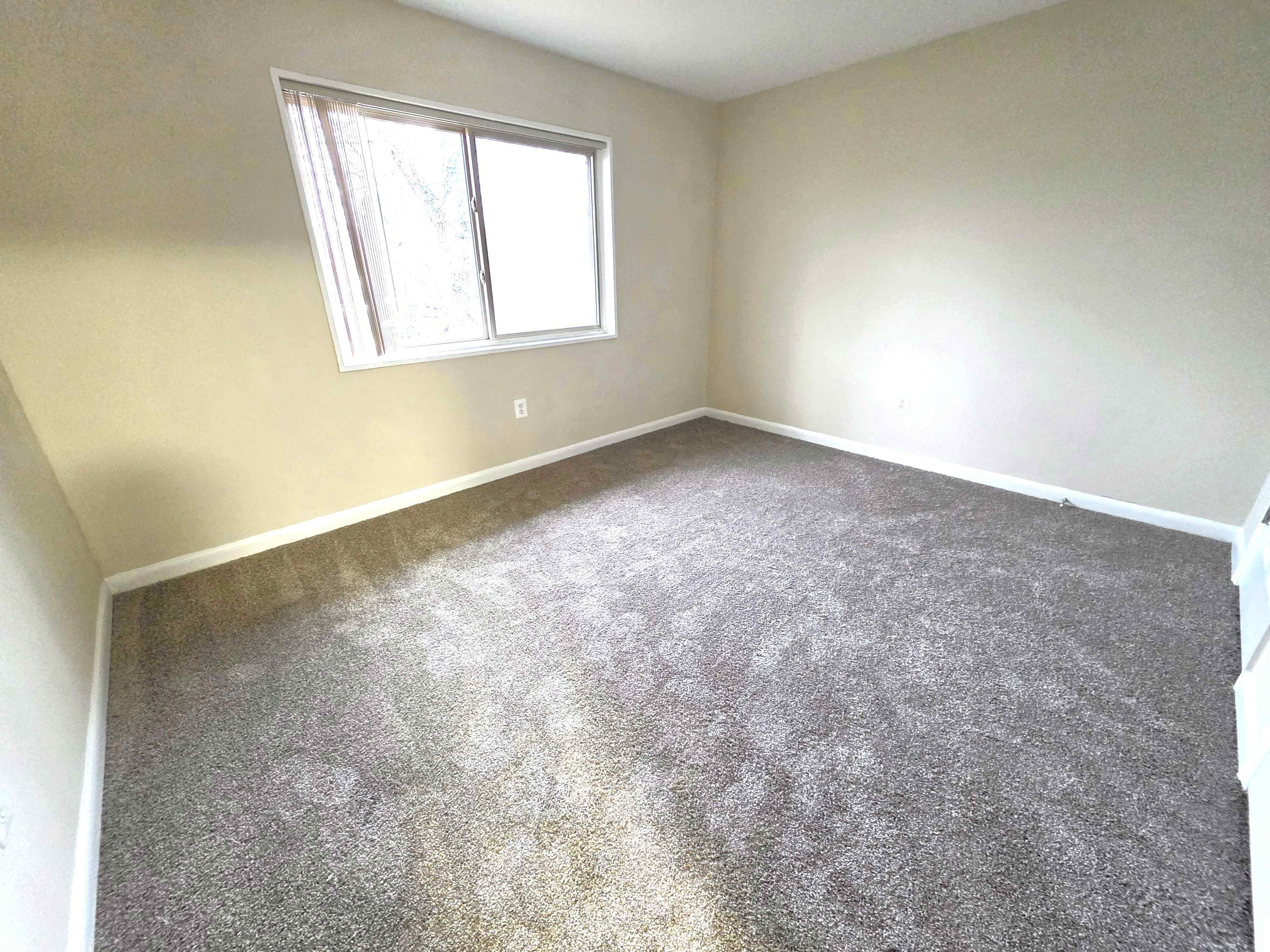 Summit Crest Image 27