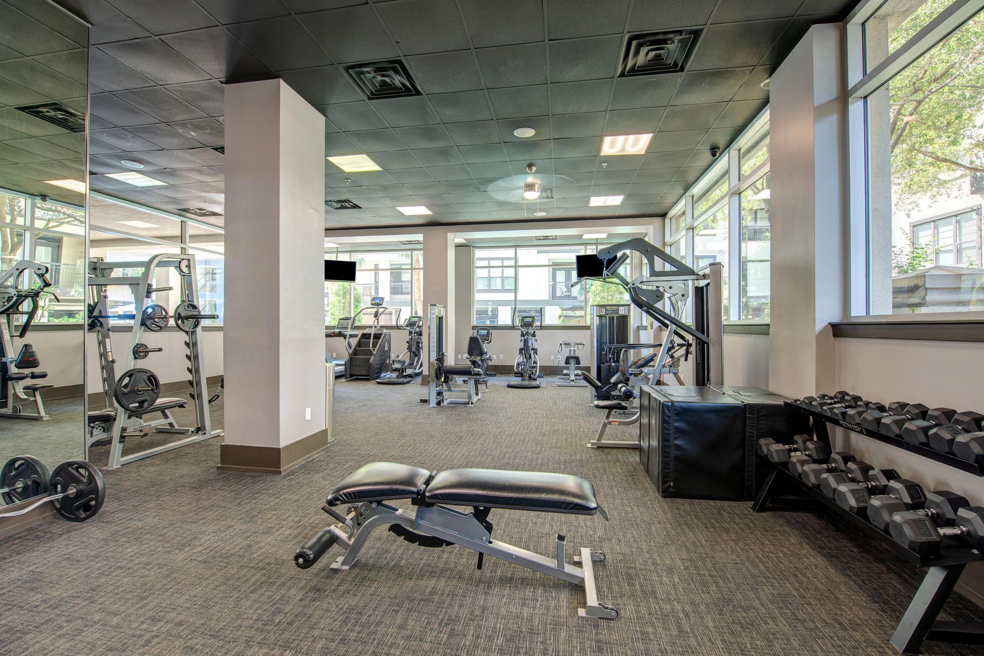 Cortland Halstead Image 15