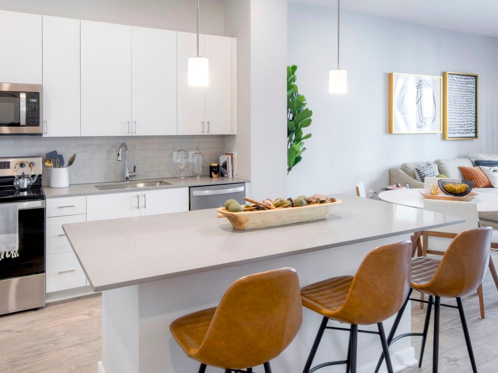 Scheme 1 open concept kitchen and living area