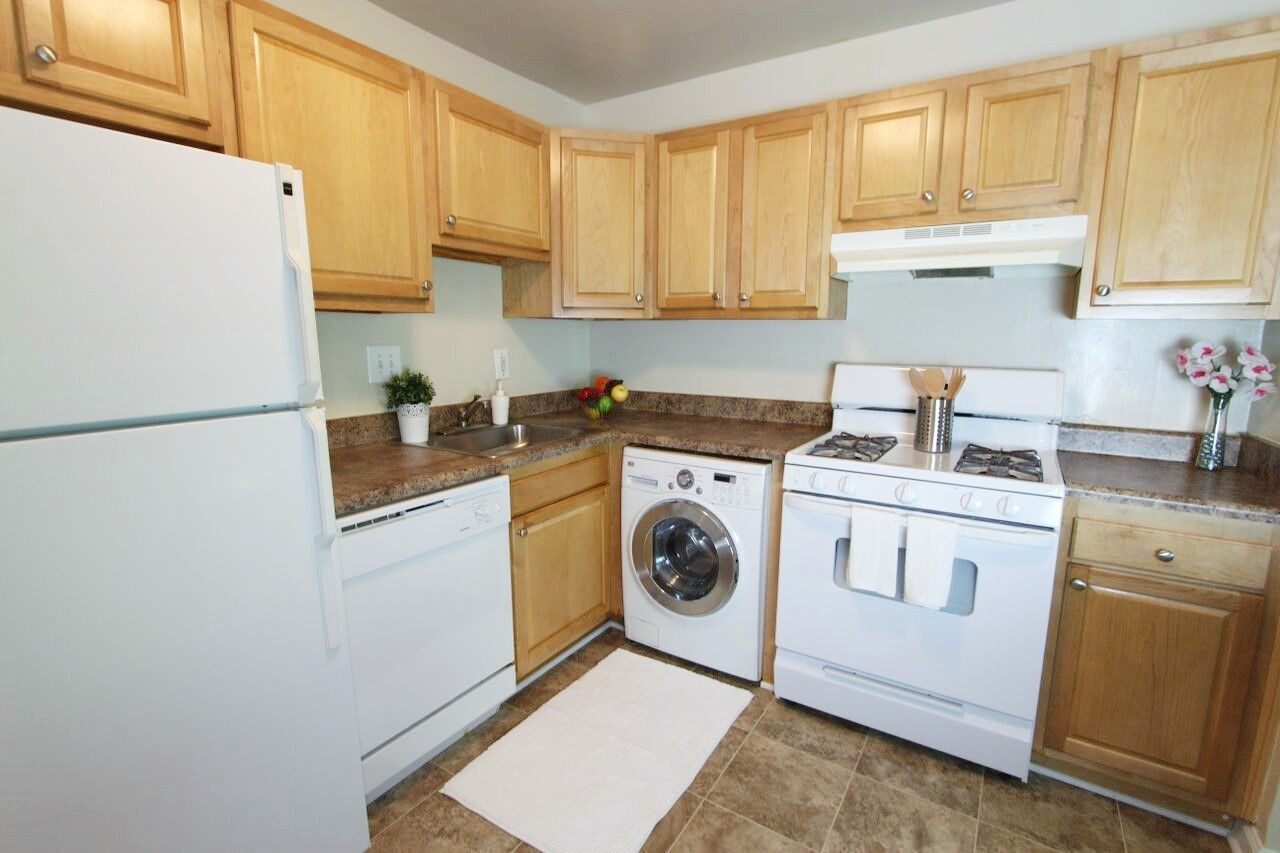 Camden Hills Image 4