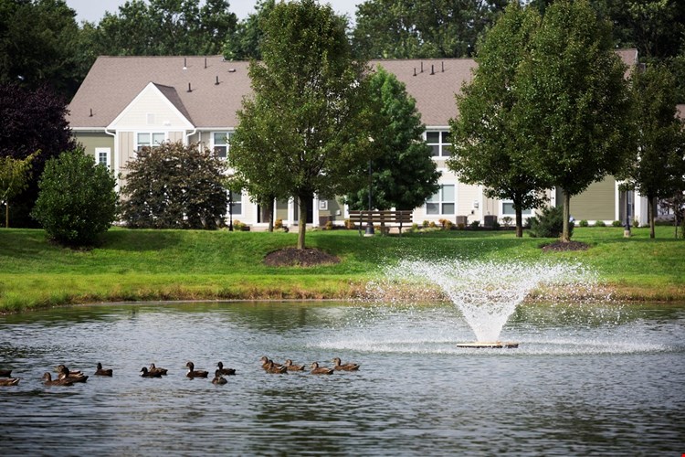 Brook View Apartment Homes Image 10