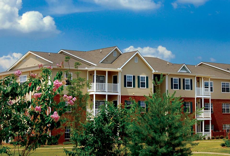 The Vineyard of Olive Branch Image 1