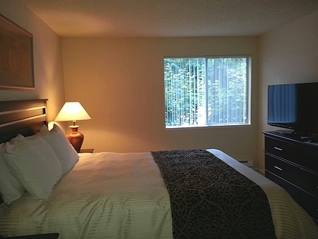 Villa Bonita Image 31