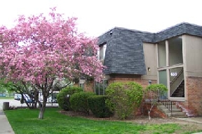 Amber Creek East Apartments Image 1