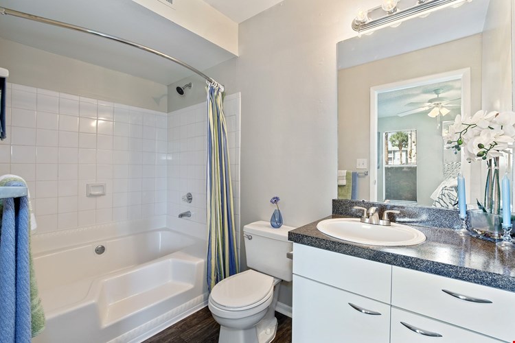 Arium Winter Park  Image 8