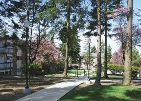 Crestview West Image 3