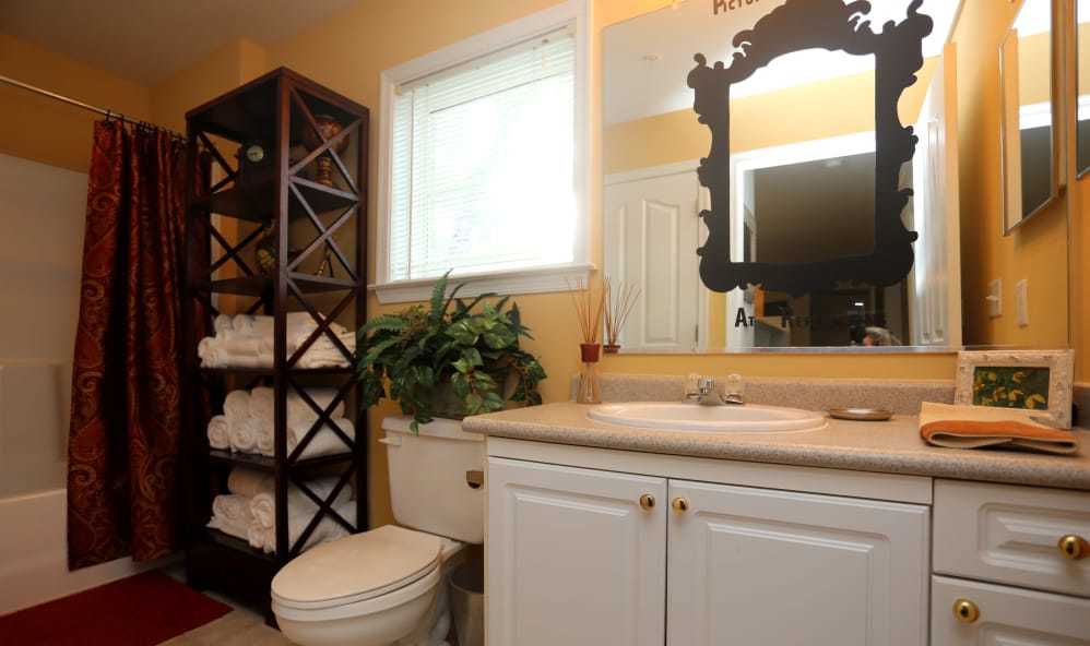 The Reflections of West Creek Image 11