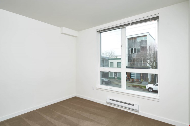 Springline  Image 24