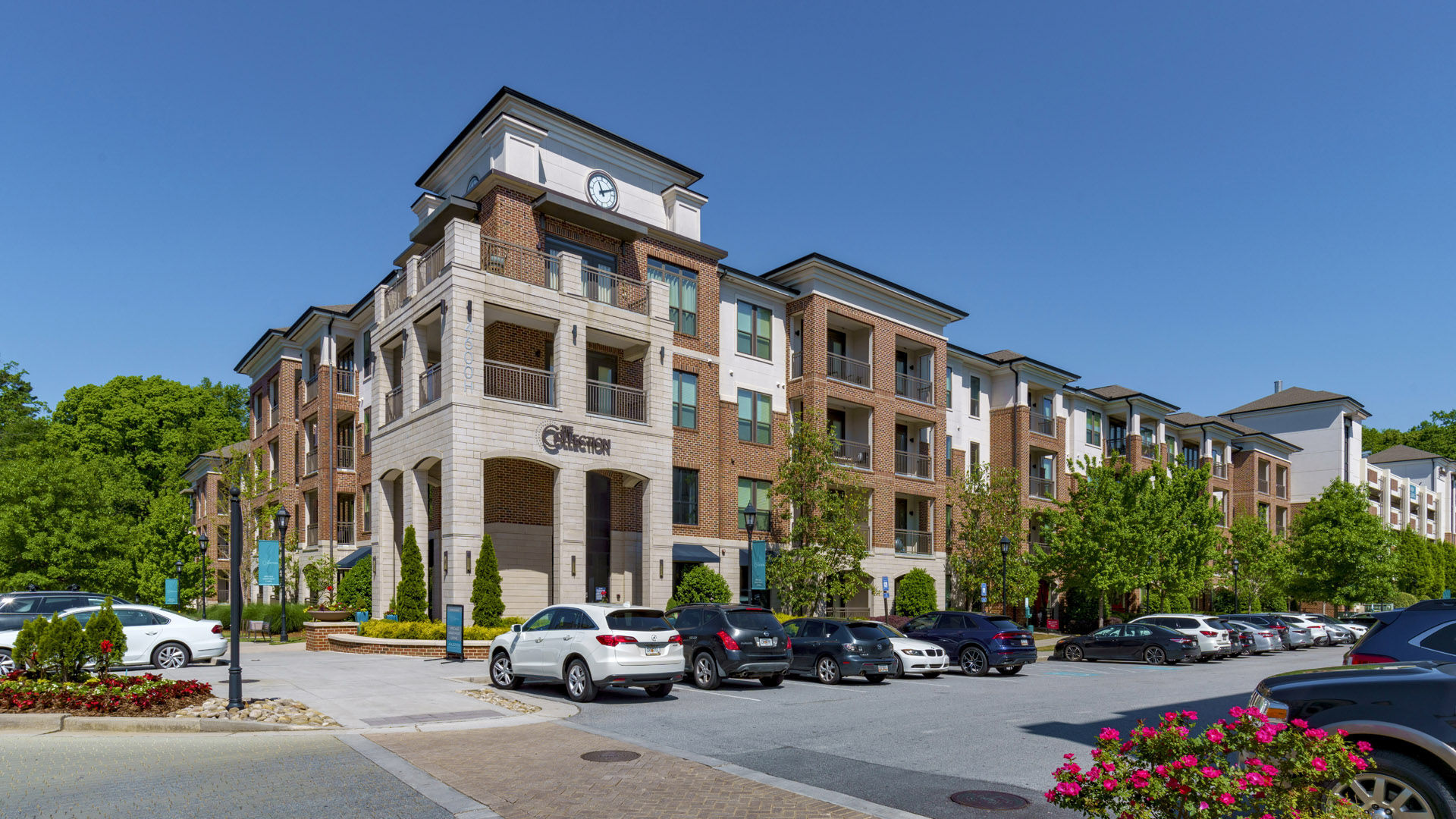 The Collection Image 21