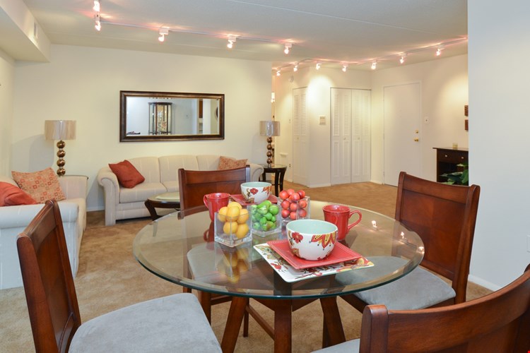 Lansdowne Towers Living Room