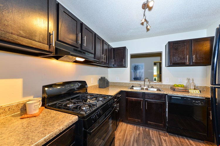 Lakeside at Arbor Place Image 12