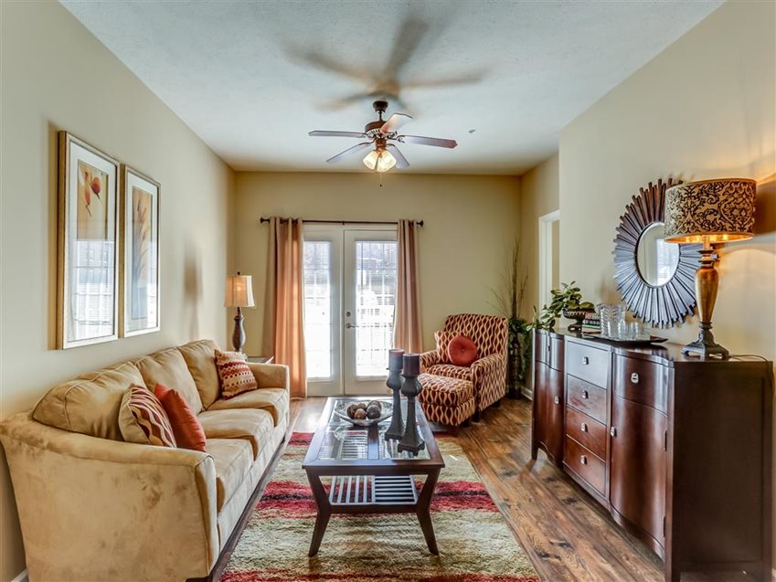 The Vineyard of Olive Branch Image 10