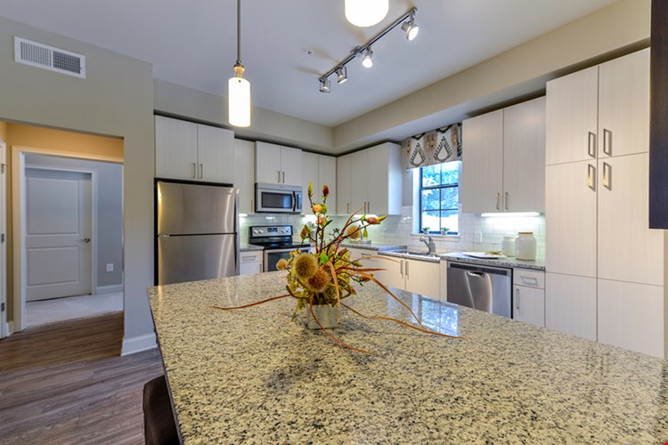 The Residences at Chastain Apartments Image 5