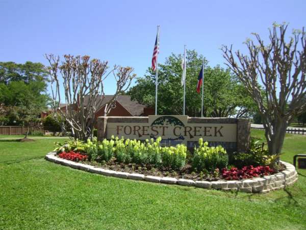 Forest Creek Image 2