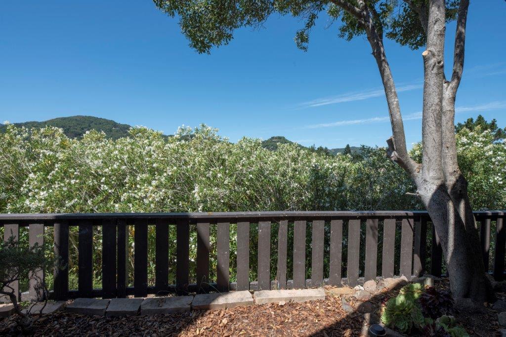 Parkside Apartments balcony and trees