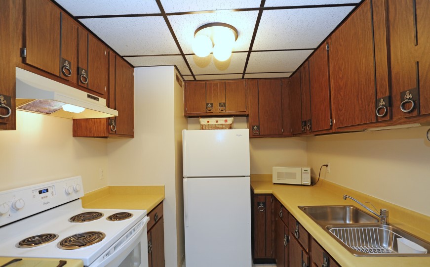 Lorlyn of Batavia Image 7