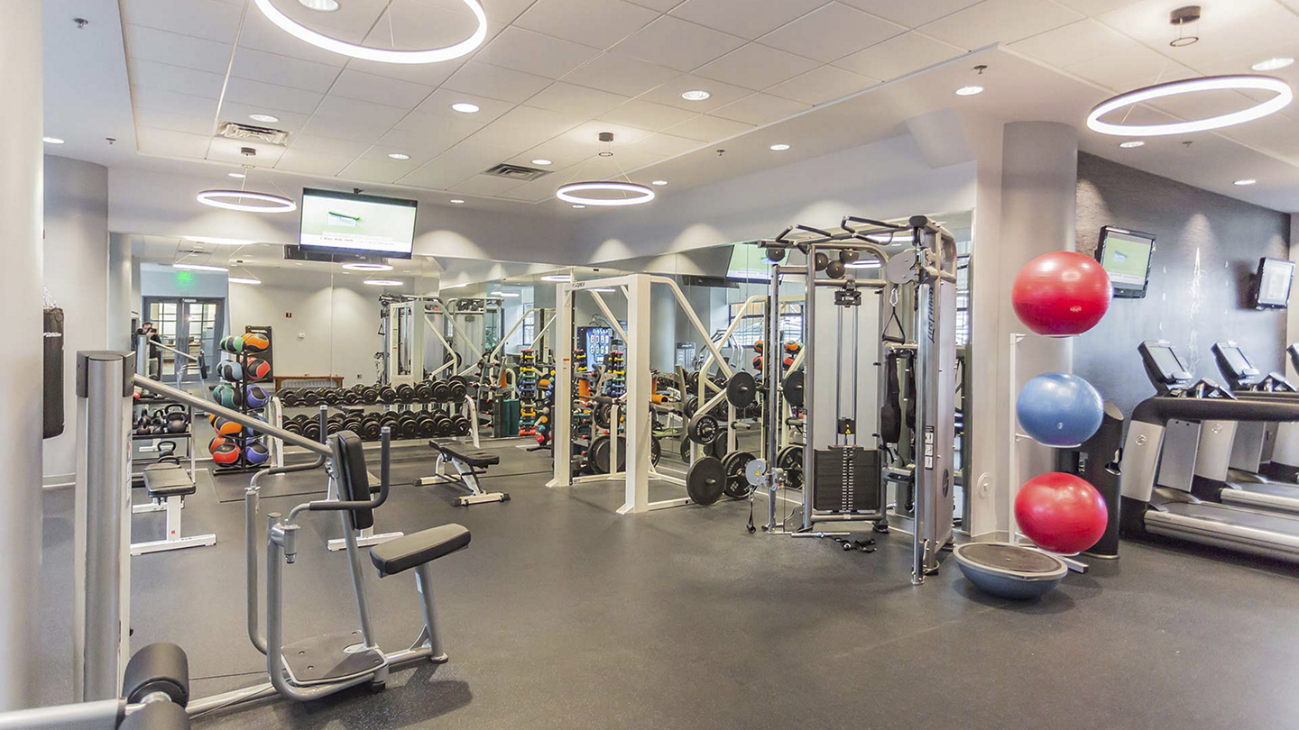 Locust on the Park Image 3