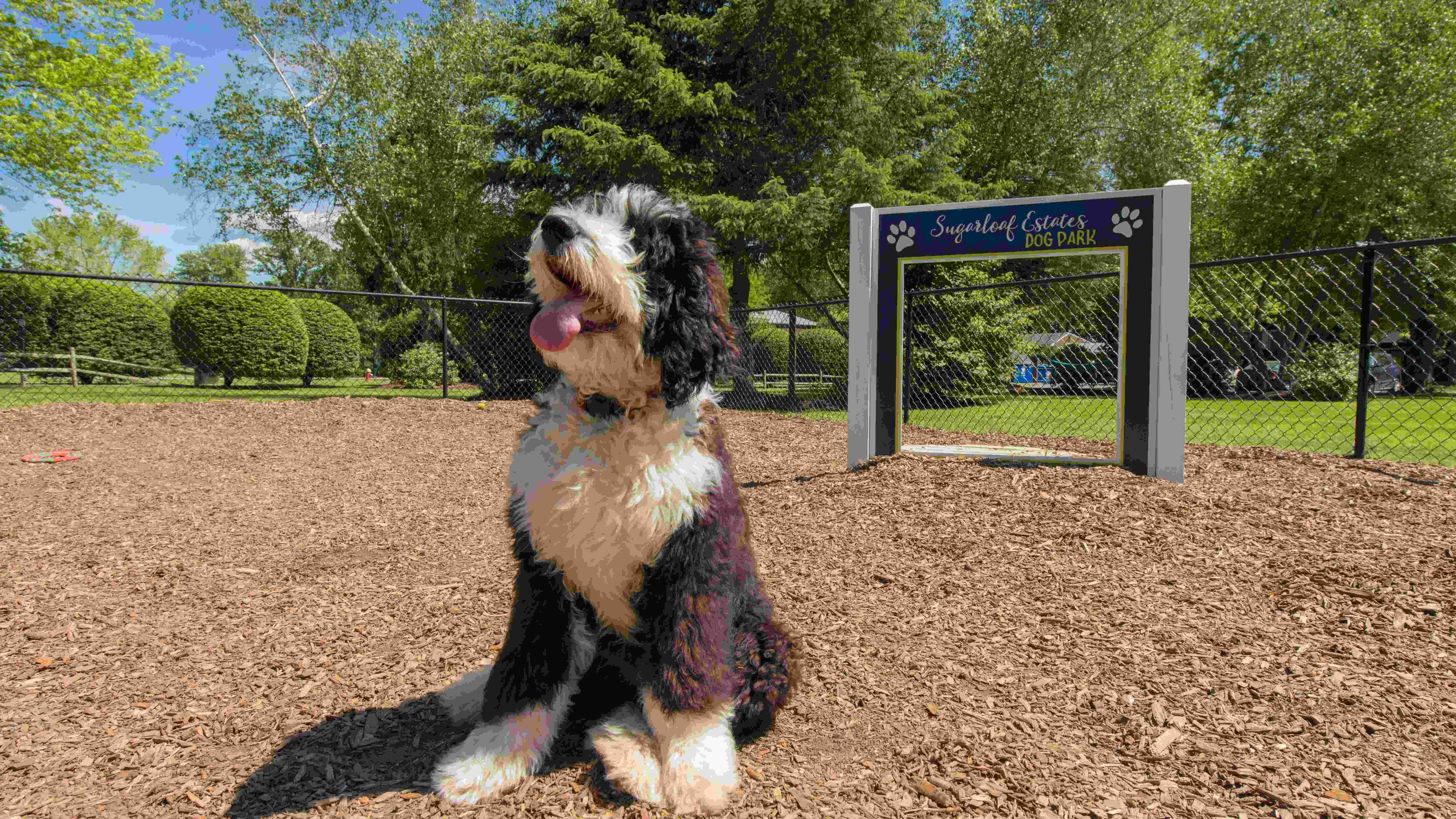 We warmly welcome your pets to our Sunderland community, complete with a dog park paradise. 