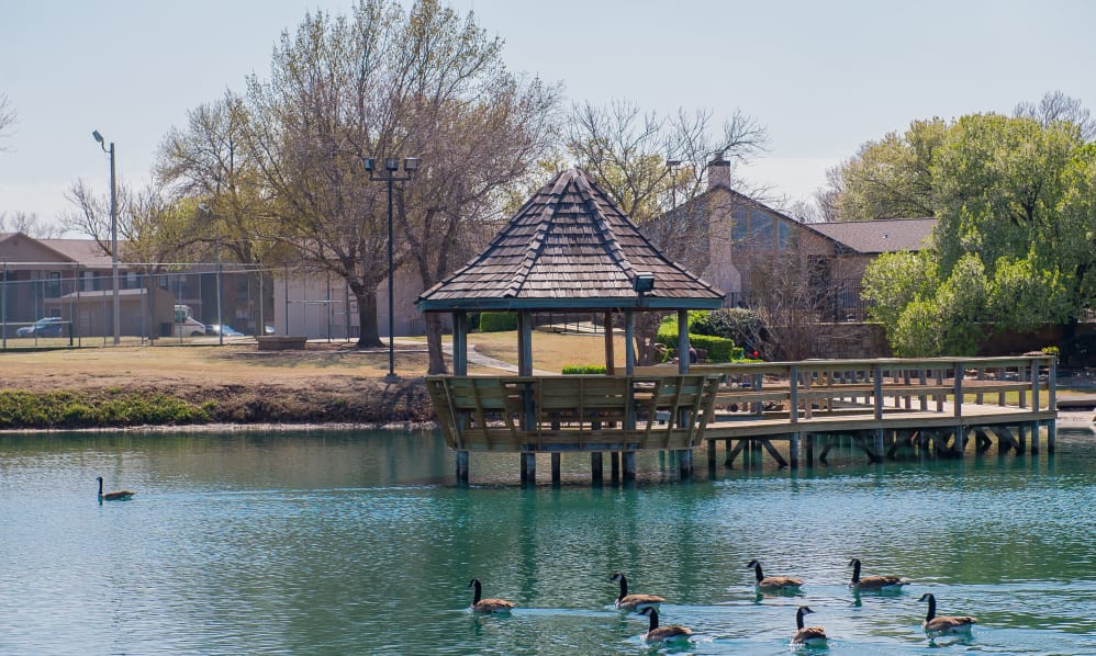 Waters Edge Apartments Image 3