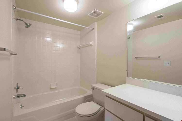 Bathroom at Franklin River