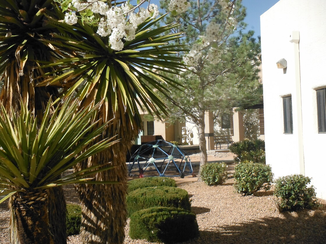 Paseo del Sol Apartments Image 1