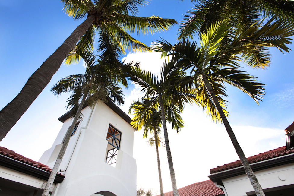 The Sophia Abacoa Image 12