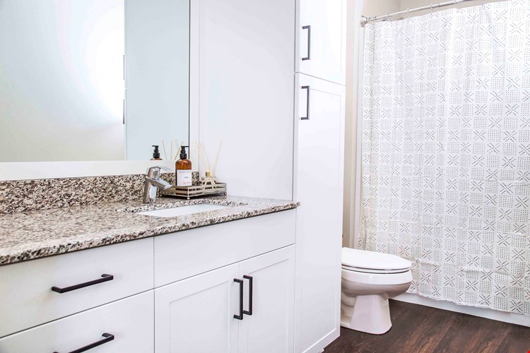 Two-Bedroom Apartment Bathroom