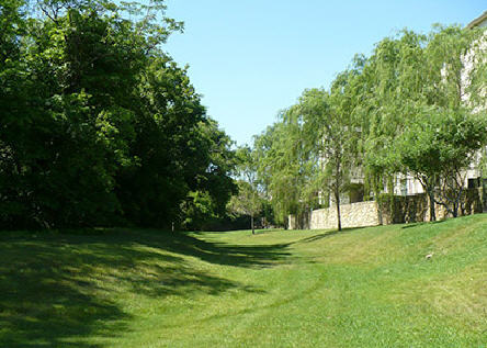 Spicewood Crossing Image 12