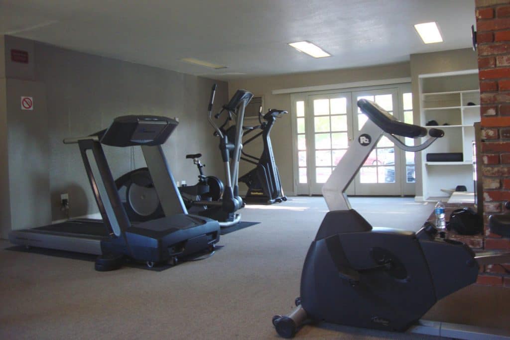 Autumn Woods Image 4