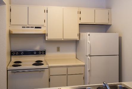 Spring Brook Image 10
