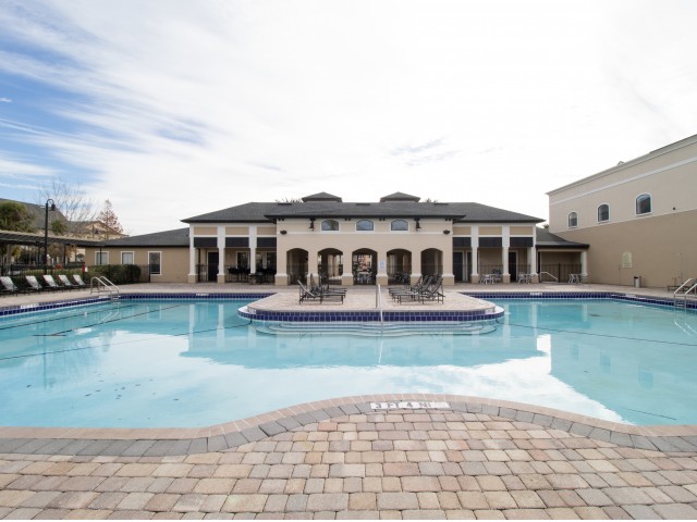 Newly Updated Swimming Pool