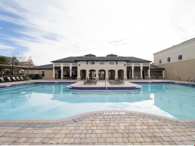 Newly Updated Swimming Pool