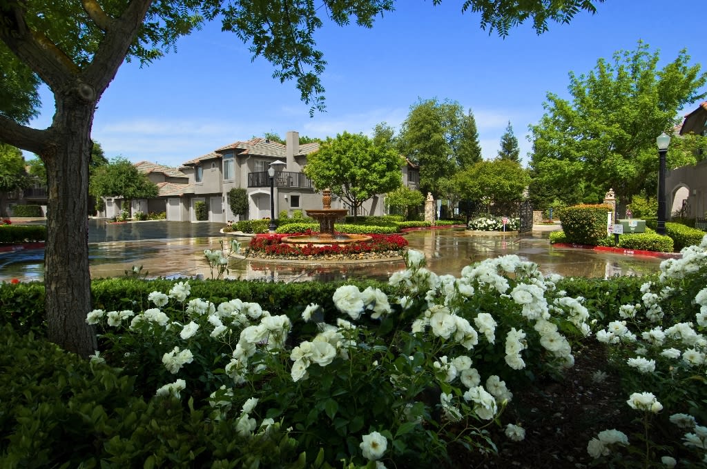 Le Provence at the Dominion Image 3