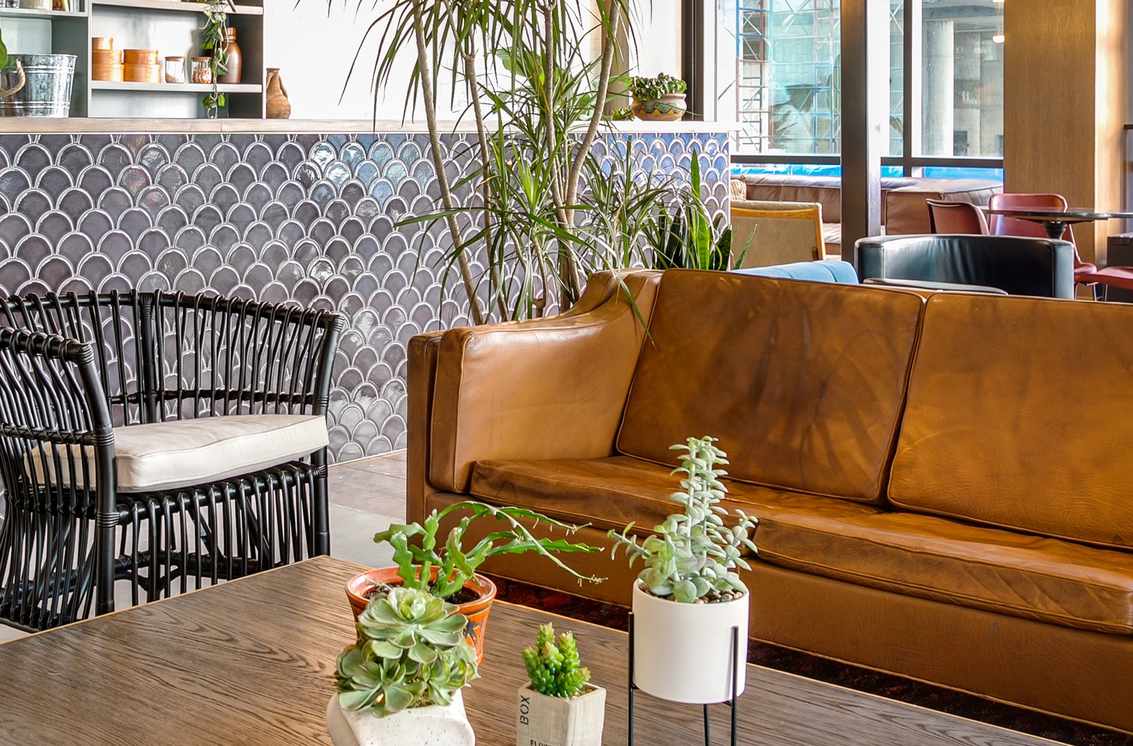 Niido Nashville Image 6