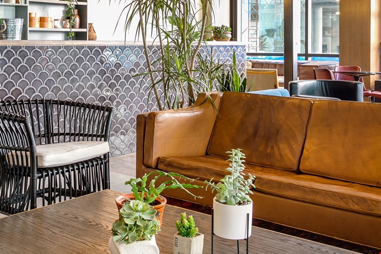 Niido Nashville Image 6