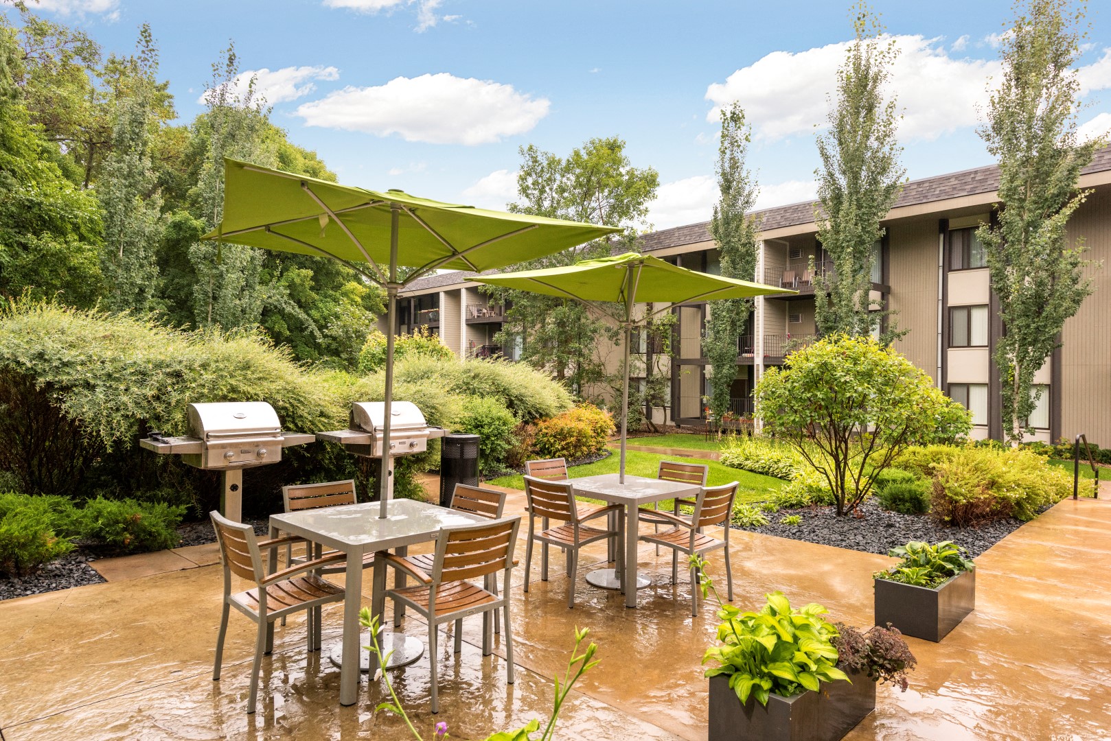 The Tarnhill Image 14