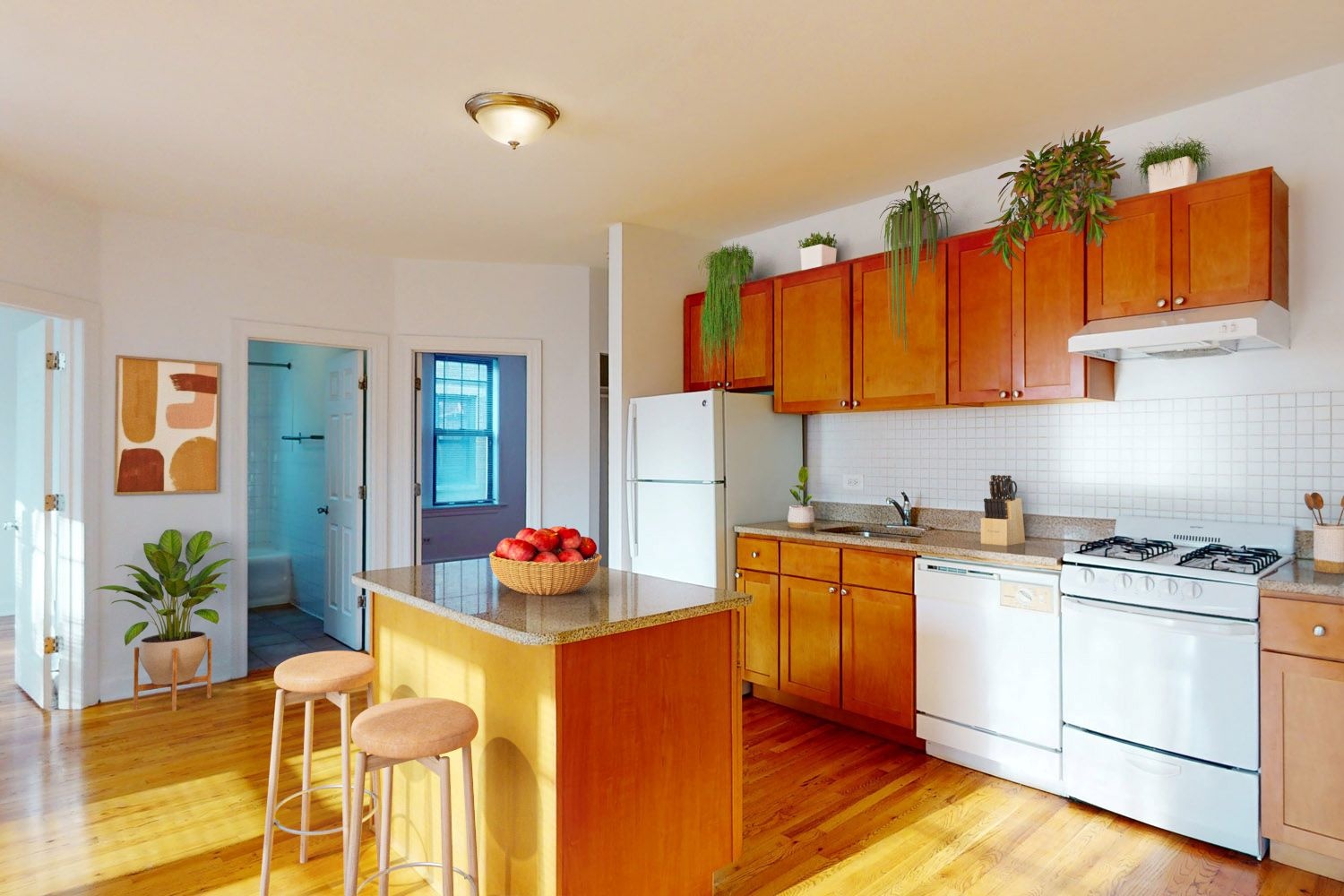 Woodlawn Court Image 6