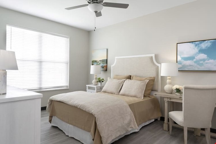 The Oasis at Hartman Lakes - 55+ COMMUNITY Image 6