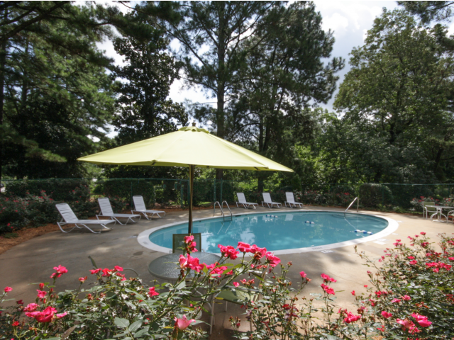 Ready for a dip in the pool?