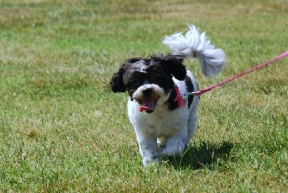 Autumn Ridge Image 7