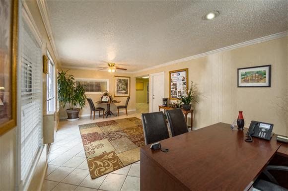 Stone Forest Image 8