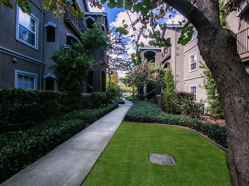 Hawthorn Village Image 13