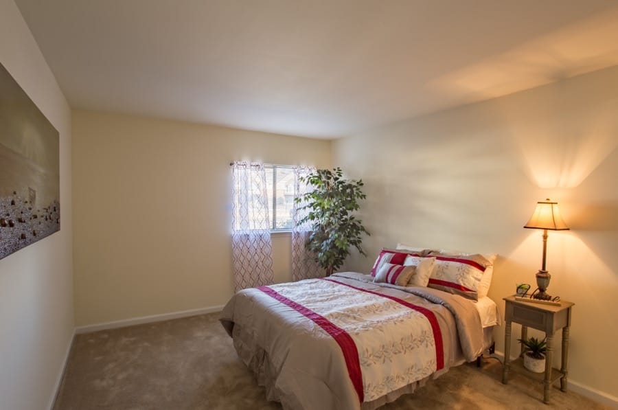 Forrest Pines Image 8