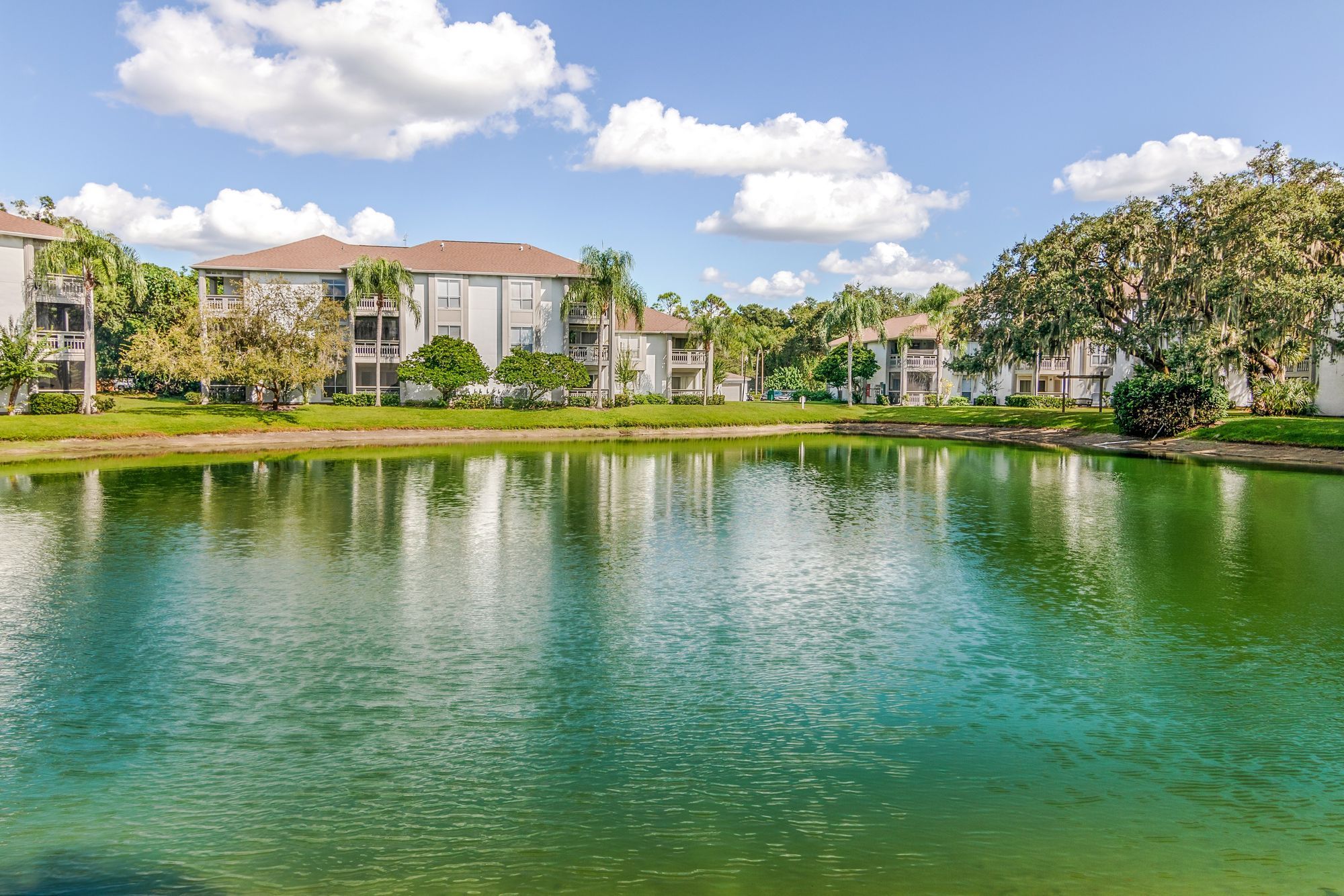 Arium Citrus Run Image 22