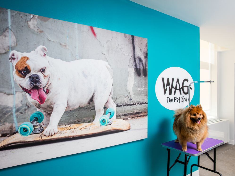 WAG Pet Spa